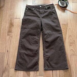 Quince chocolate brown wide leg denim pants 31 best fits 8 29